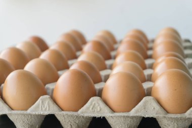 Çiğ tavuk yumurtaları, taze yumurtalar, yemeye hazır yumurtalar..