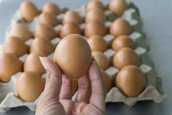 Woman showing brown chicken egg. Fresh eggs.