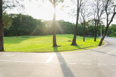 Akşamları güzel yeşil bir park.