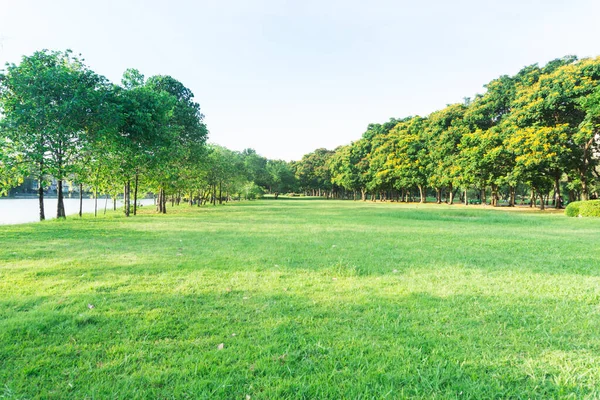 Schöner Grüner Öffentlicher Park Abend — Stockfoto