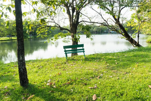 Akşamları güzel yeşil bir park.