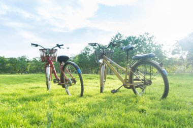 Kamu parkında yeşil çimlerin üzerinde bisiklet.