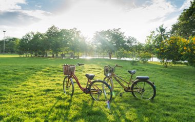 Kamu parkında yeşil çimlerin üzerinde bisiklet.