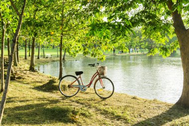 Akşam güzel halk parkında kırmızı bisiklet..