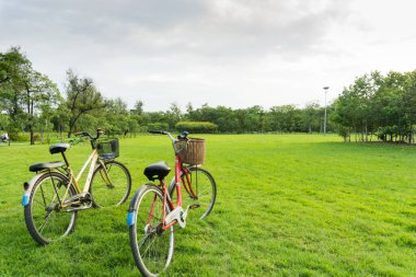 Kamu parkında yeşil çimlerin üzerinde bisiklet.