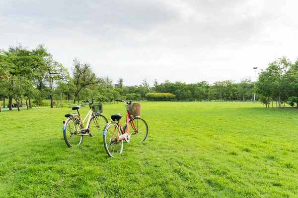 Bicicleta Césped Verde Parque Público — Foto de Stock