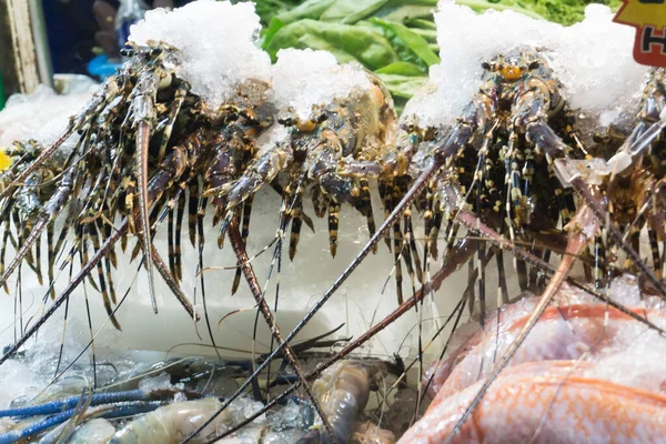 Fresh Raw Shrimp Night Market Thailand — Stok Foto