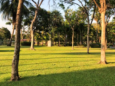 Büyük şehirde güzel yeşil halk parkı.