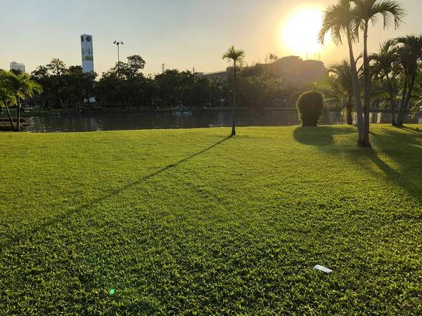Закат Солнца Красивом Общественном Парке — стоковое фото