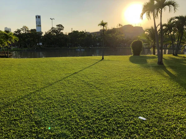 Beautiful Sunset Light Beautiful Public Park — Stock Photo, Image