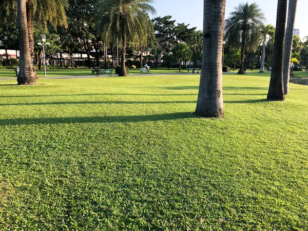 Hermosa Escena Del Parque Parque Público Con Campo Hierba Verde — Foto de Stock