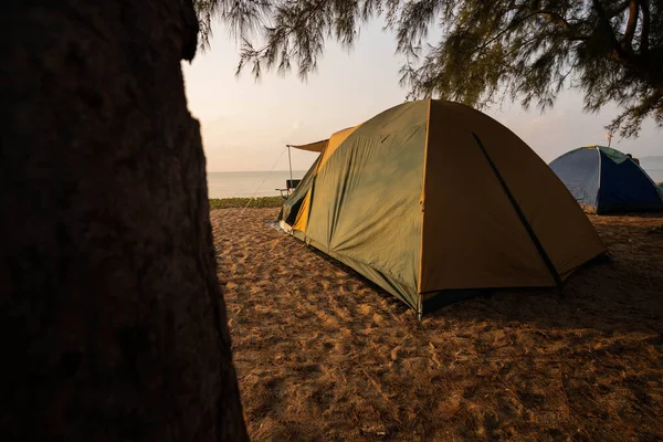 Sabahları bir turistin çadırı sahilde, doğanın tadını çıkarma zamanı..