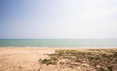 Kumsaldaki çimen ağaçları, deniz ve gökyüzü parlak, mavi arkaplan.