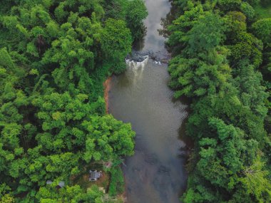 Tayland 'da nehir manzarası ve yeşil orman, doku ve arka plan yeşil ağacı..
