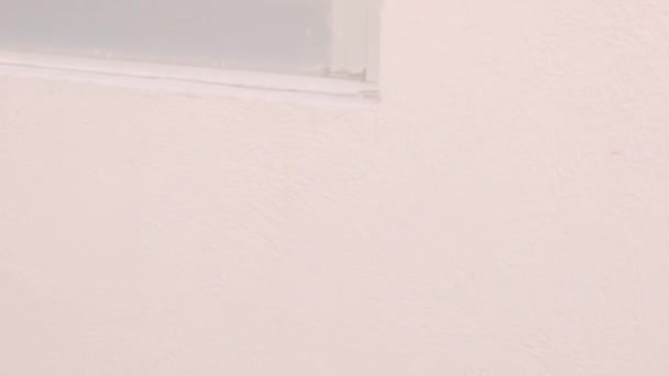 Молода Прекрасна Мексиканська Дівчина Каву Стурбованим Обличчям Дивлячись Вікно Кухні — стокове відео