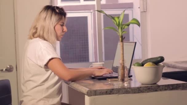 Wanita Muda Meksiko Yang Cantik Bekerja Dengan Laptopnya Dengan Pakaian — Stok Video