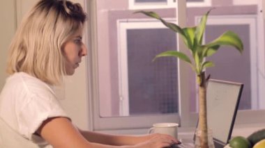 Güzel, genç Meksikalı bir kadın dizüstü bilgisayarıyla mutfak masasında ağır çekimde çalışıyor.