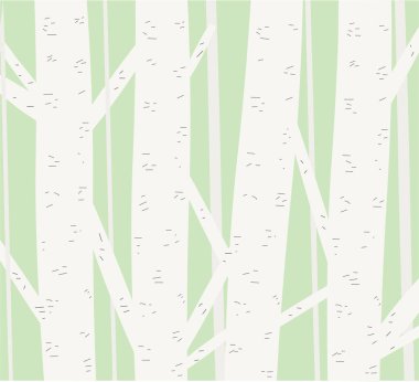  Orman konsepti. Huş ağaçlarıyla soyut bir arka plan. Düz biçim tasarımı. 