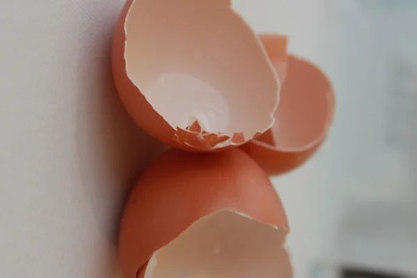 Isolated eggshells — Stock Photo, Image