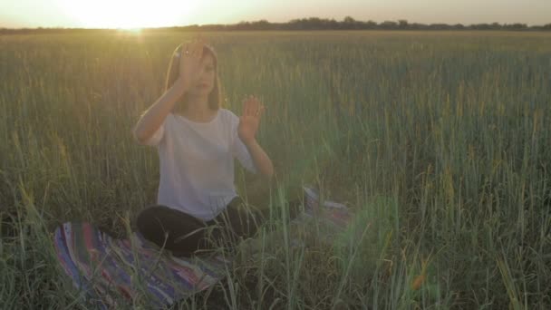 Mulher no campo fazer gestos ao pôr do sol não classificado — Vídeo de Stock