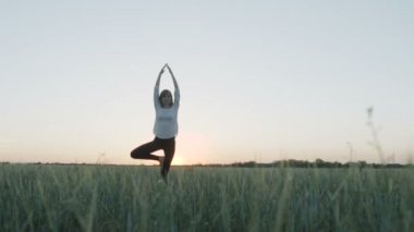 Gün batımında Yoga vrikshasana ağaç poz kadın tarafından