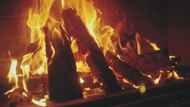 Wooden planks are burning and glowing in fireplace — Stock Video