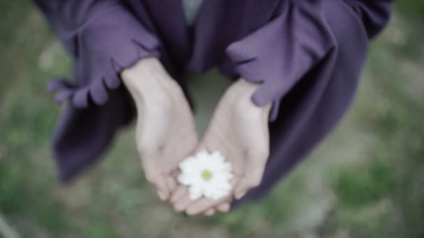 Mujer sostiene hermosa flor blanca en las manos — Vídeos de Stock