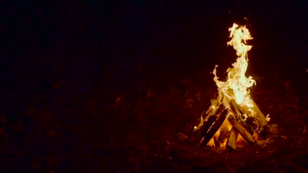 Outdoor wood campfire burring brightly at night forest with sparks — Stock Video