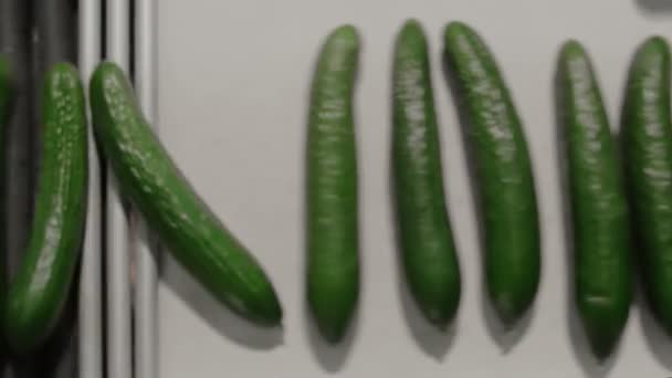 Cucumbers Are Spinning On Production Line — Stock Video