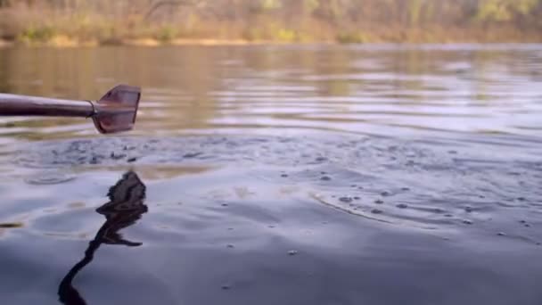 Boot paddelt durch das Wasser — Stockvideo