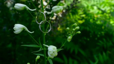 Alyans güzellik çiçek üzerinde asılı