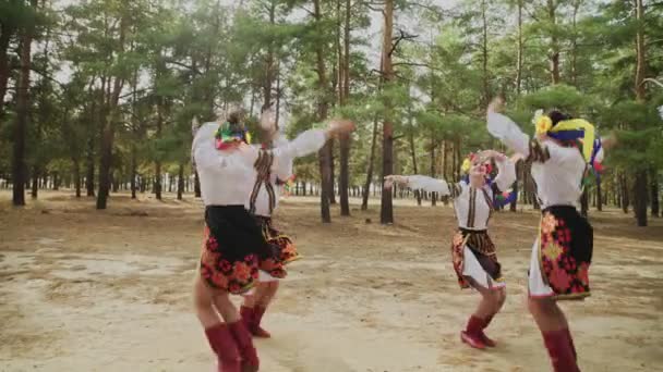 Group of young women in traditional costumes are dancing Ukrainian national dances — Stock Video