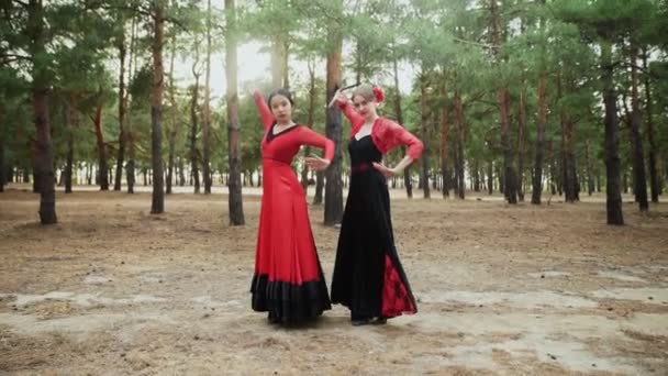 Elegante y elegante asiático y caucásico mujeres están bailando danza tradicional española en el bosque de verano — Vídeo de stock