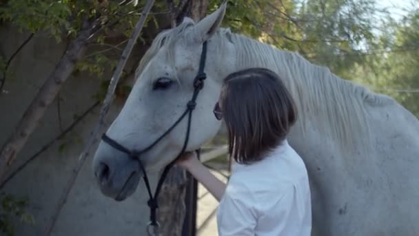 Glad kvinna vidrör vit häst utomhus — Stockvideo