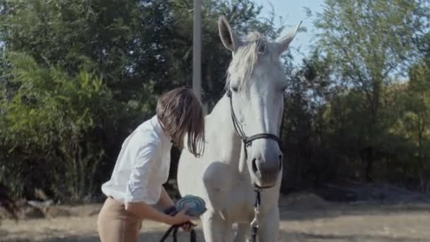 Жіночий гонщик в одязі і сонцезахисних окулярах очищається спеціальним пензлем, гребінцем її білого молодого красивого коня — стокове відео