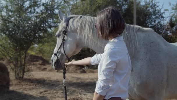 女が馬にぶつかった。白い馬の自然を楽しむ女性。愛と友情の概念. — ストック動画