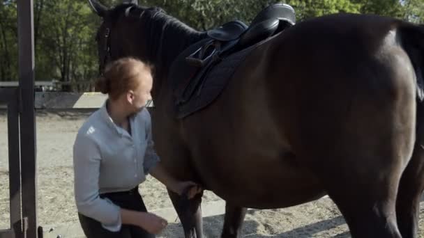 Jeune cavalière fixation selle sur son cheval — Video