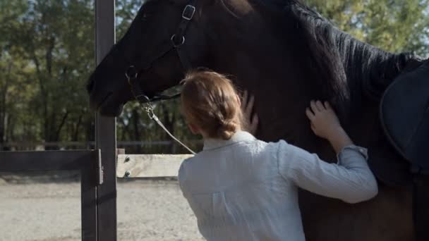 Vista posterior de la mujer en camisa blanca tocando su caballo oscuro al aire libre — Vídeos de Stock