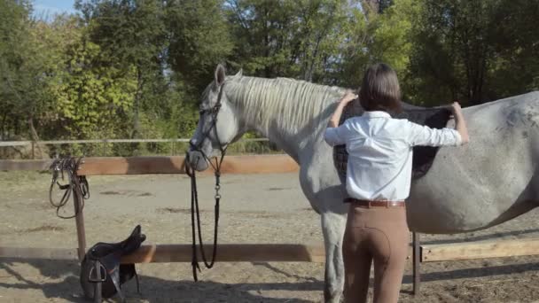 Joven jinete femenino puso almohadilla de montar a pelo y silla de montar en su caballo — Vídeo de stock