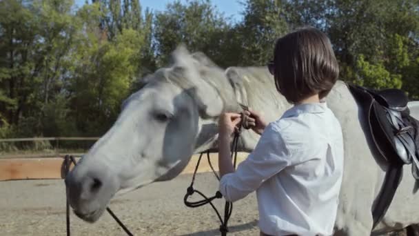 Mujer joven con camisa blanca se pone a Bridle en su caballo blanco — Vídeo de stock