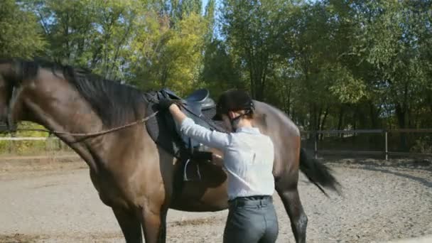 Samica jeźdźca w stroju jeździeckim wskakuje na konia — Wideo stockowe