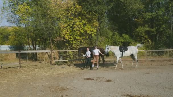 Deux jeunes cavalières marchent en tenant leurs chevaux. Soins des animaux. Concept de chevaux et de personnes. — Video