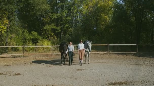 Deux jeunes cavalières marchent en tenant leurs chevaux. Soins des animaux. Concept de chevaux et de personnes. — Video