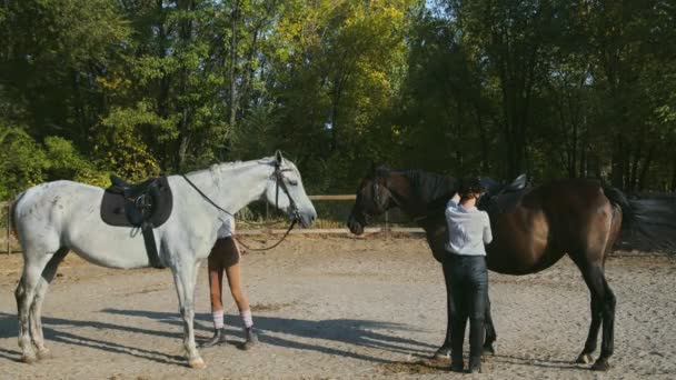 Dwie samice jeźdźców w ubrankach jeździeckich i kaskach przygotowują się do jazdy na koniach — Wideo stockowe