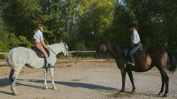 Deux cavalières en vêtements d'équitation et casques sont assises sur leurs chevaux et leurs promenades — Video