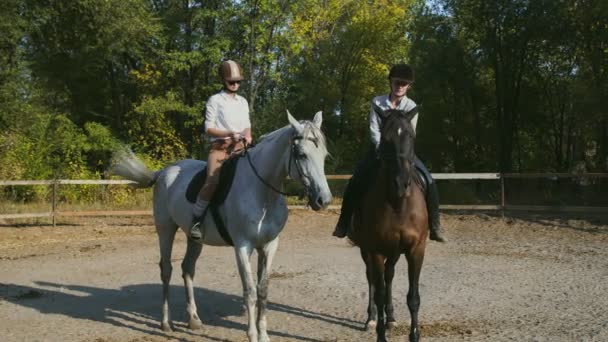 Deux cavalières en vêtements d'équitation et casques sont descendues de leurs chevaux — Video