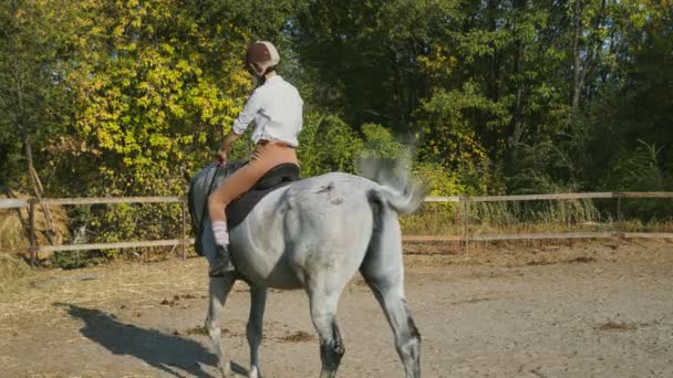 Vrouwelijke ruiter in rijkleding op een paard. Liefde en vriendschap concept. Paardrijden — Stockvideo