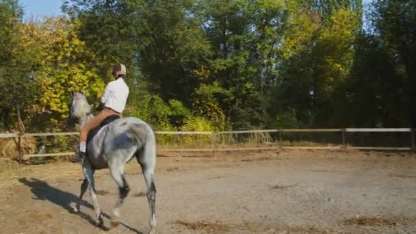 Female rider in riding clothes riding a horse. Love and friendship concept. Horseback riding — Stock Video