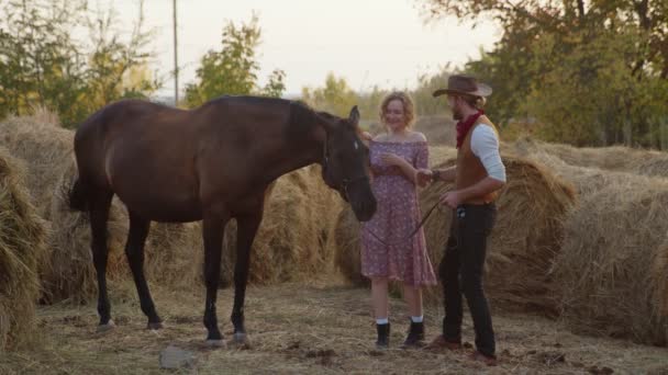 Guapo vaquero muestra su caballo a hermosa mujer — Vídeo de stock