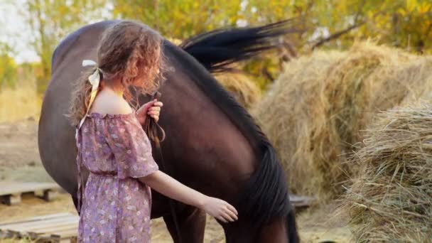 Jeune femme touchant cheval sombre à l'extérieur — Video
